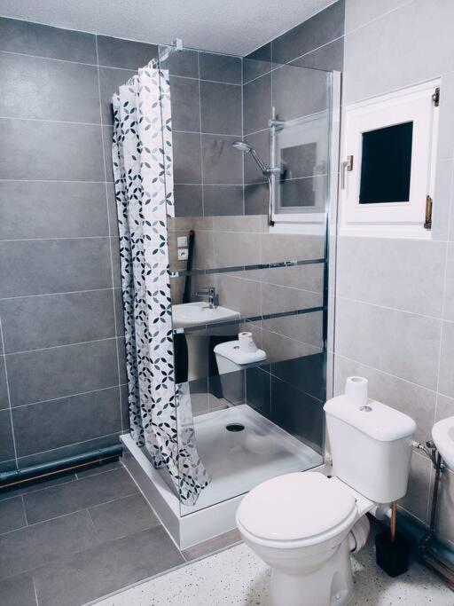 אוברנאי Magnifique Appartement T3 50 M2 מראה חיצוני תמונה